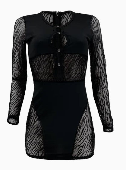 "Wild Elegance: Zebra Print Mesh Patchwork Bodycon Club Mini Dress"