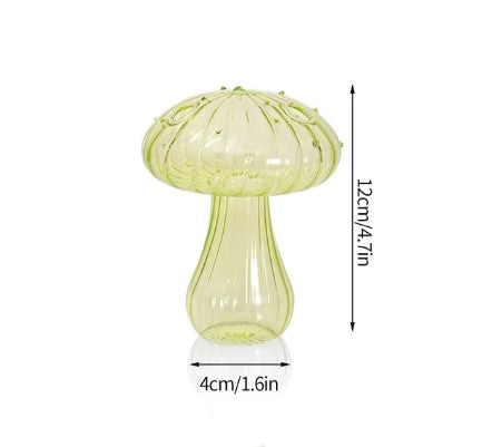 Mystical Mushroom Art: Glass Vase Hydroponic Terrarium - Craft Your Own Aromatherapy Bottle and Artistic Plant Display!