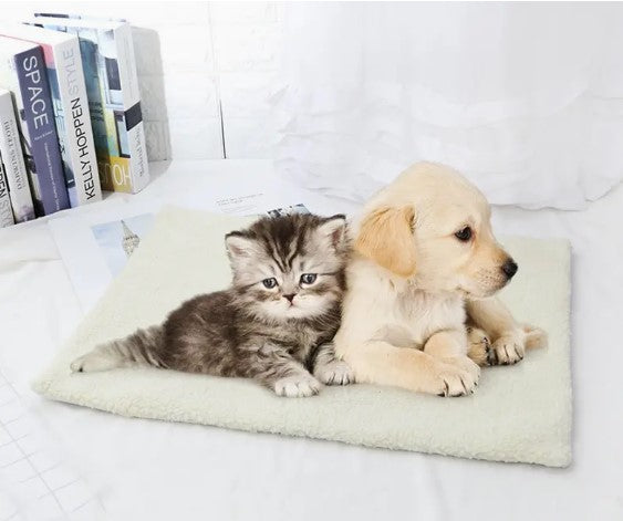 "Cosy Paws Guaranteed! Introducing Our Self-Heating Pet Mat - No Electricity Required for Ultimate Comfort and Warmth!"