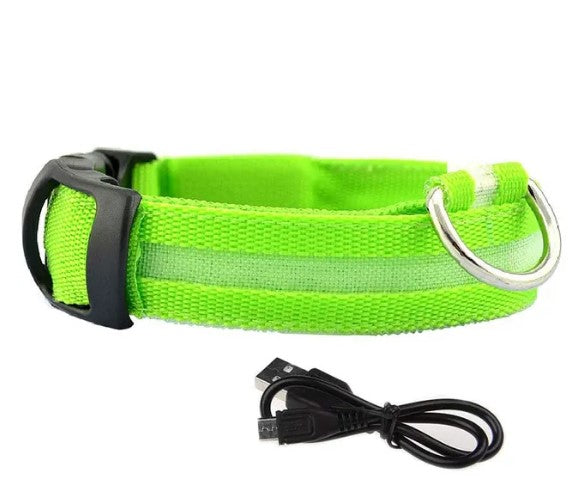 Shine Bright: Rechargeable LED Glowing Dog Collars for Safety and Style!