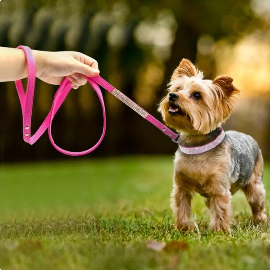 Dazzling Glamour for Your Furry Friend: Crystal Glitter Rhinestone Pet Collar